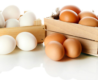 Tudo o que você precisa saber sobre Ovos