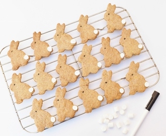 Easter Bunny Carrot Biscuits Recipe