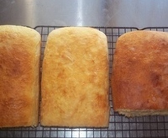 Adventures in Homemade CES Sandwich Bread Recipes Recipe
