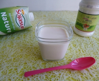 yaourts au soja maison avec Stévia Crystal et à seulement 50 kcal (diététiques, végans, sans sucre et riches en fibres)