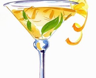 Slimming World - Fizzy Clementine Cocktails
