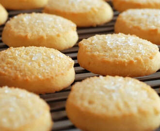 Biscuits citron gingembre au thermomix