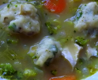 Chicken Vegetable and Herb Dumpling Soup