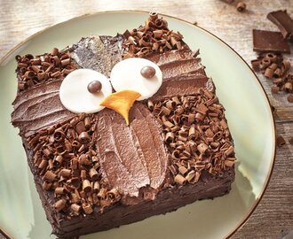 Owl Cake Step by Step Recipe and Easy Cake Decoration