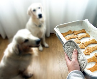 Biscoitos para o vosso melhor amigo de 4 patas . Cookies for your best 4-legged friend
