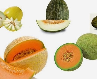 Os 15 benefícios do melão para a nossa saúde