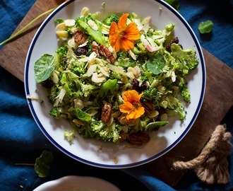 Rychlý brokolicový salát