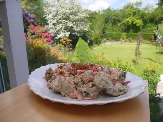 Salmon Potato Salad with Radishes.