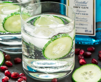 Gin and Tonic and 18 Amazing Foods to Cook with Gin