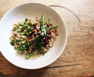 broad bean and pea risotto with grilled asparagus, radicchio & toasted walnuts with balsamic, yuzu and honey dressing and wild garlic pesto
