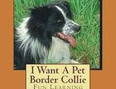 I Want A Pet Border Collie:...