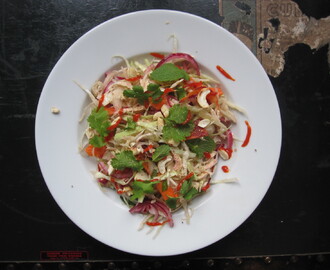 Goi Ga Bap Cai Approximatif {Salade de chou et poulet d’inspiration vietnamienne}