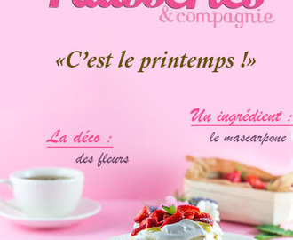 Tartes fines aux abricots et « salade de fleurs » Foodista édition spéciale « Printemps »