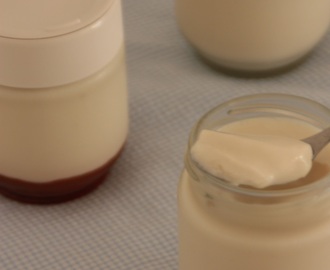Como hacer el yogur perfecto