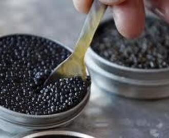 Kawior | Caviar
