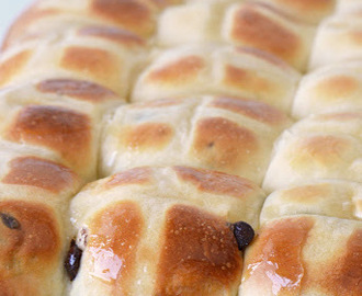 Chocolate Chip (Spice-less) Hot Cross Buns