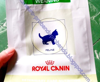 ROYAL CANIN WEANING - El primer pienso de mi gatito