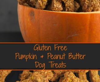 Gluten Free Pumpkin & Peanut Butter Dog Treats