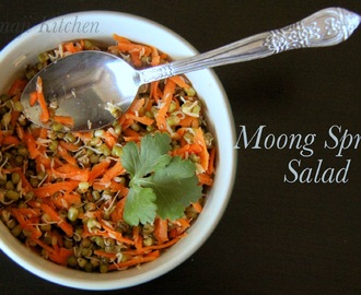 Mung Sprouts Salad | Moong Sprouts Salad | Sprouts Salad