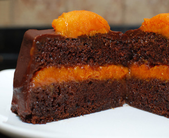Recette Gâteau au chocolat et aux abricots avec thermomix