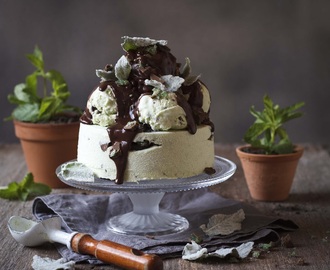 Chocolate Peppermint Crisp Ice Cream Cake