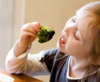 12 consejos para que tus hijos sean vegetarianos o coman menos carne