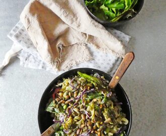 Salade de pâtes aux pois cassés, sauce crémeuse et légère au sésame  ( Sans blé, vegan )