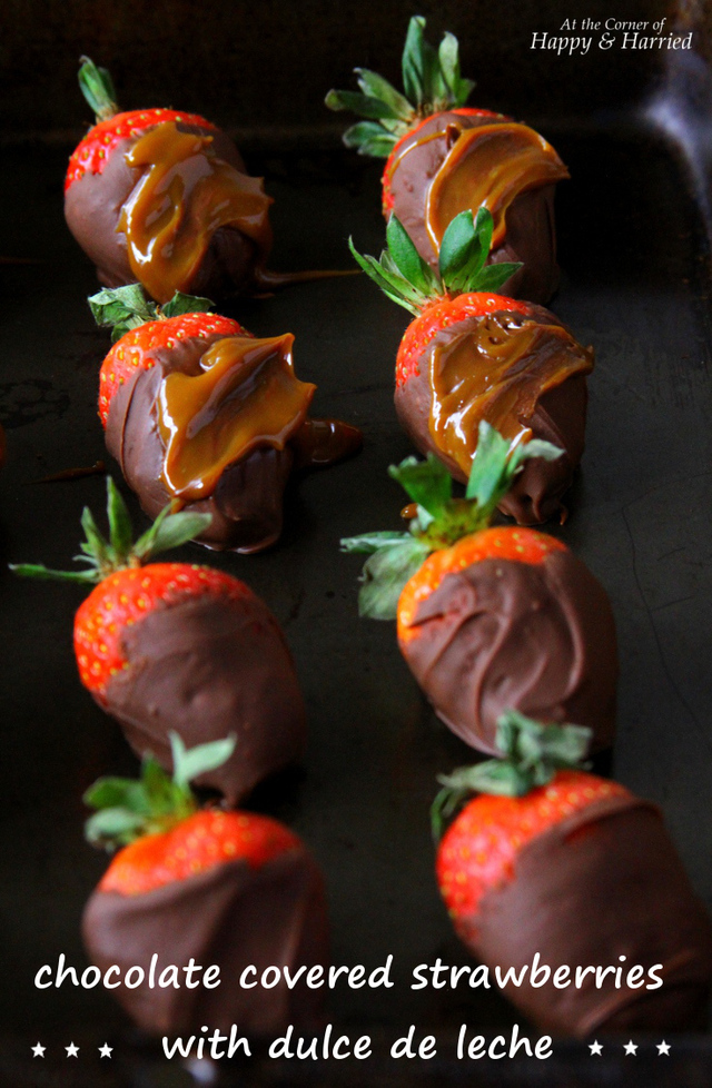 Easy Dessert – Chocolate Covered Strawberries With Dulce De Leche