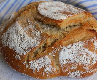 domowy chleb w pięć minut dziennie (prawie) - artisan bread in five minutes a day (almost)