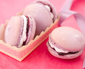 Blueberry Macaroons