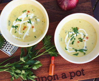 Chicken and Pumpkin Coconut Soup