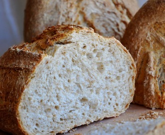 Pane  marchigiano con grano spezzato e farina di farro a lievitazione mista: lievito madre e biga.