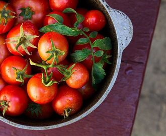 Πώς να διατηρήσετε τις ντομάτες σας φρέσκες για περισσότερο καιρό