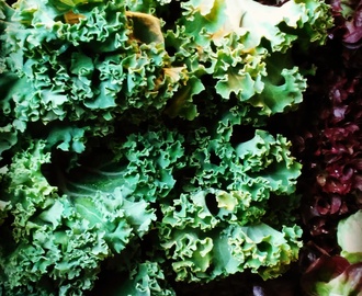 Kale o la berza rizada de siempre, superalimento de moda.