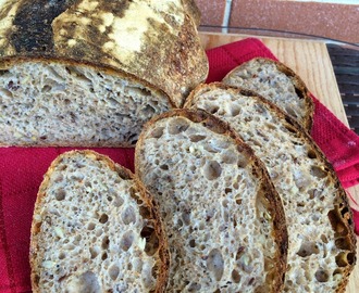 Pane integrale con semi misti a lievitazione naturale