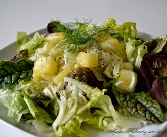 Salat mit Fenchel und Wassermelone + Gastbeitrag von Lukas Stein zum Thema Öle