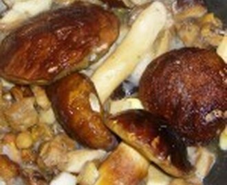 Fagiano arrosto con funghi porcini e tartufo