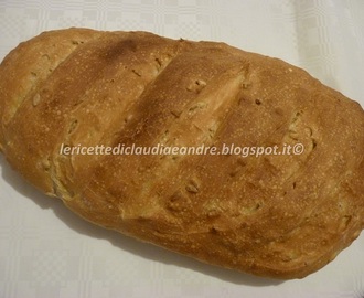 Pane con farina integrale e semi di girasole con 2 gr di lievito