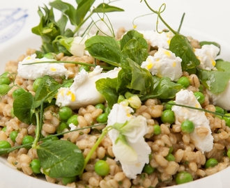 Barley, pea and mint salad with fresh organic goat's cheese