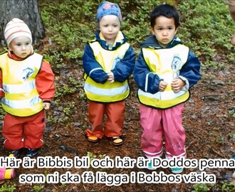 Björkens och Granens äventyr med Bobbos väska, grupp 2, VT17