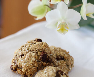 Biscuits croquants aux flocons d’avoine et raisins secs #vegan