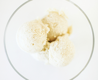 Low Carb Ice Cream: Creamy Coconut “Get Some” Ice Cream