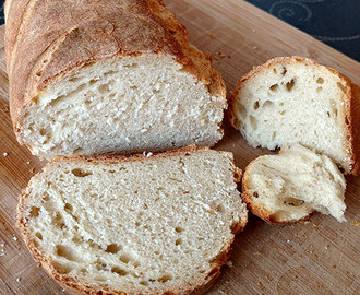 Un pan básico (Experimentos panarras Vol.2)