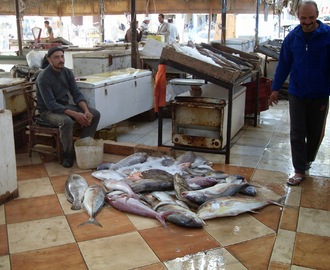 Fisch aus dem Ofen - Thanneya Samak