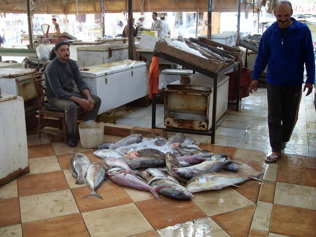 Fisch aus dem Ofen - Thanneya Samak