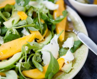 Schneller Salat mit Mango, Avocado und Büffelmozzarella – 7 Blogger, 7 schnelle Salatideen {Reklame/Verlosung}