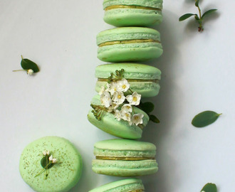 Matcha Green Tea Macaron