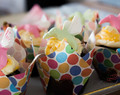 Schoko-Cupcakes mit Maracujafrosting