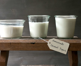 Selbstgemachter Joghurt aus Kokosmilch mit Sommer-Müsli.