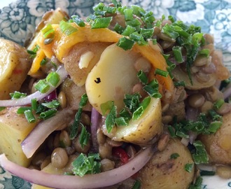 Veckans vegetariska -Potatissallad med linser och grillad paprika